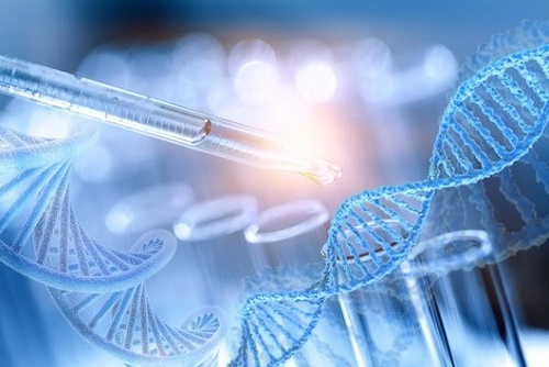 campo de trabajo de un biotecnólogo campo de trabajo de un biotecnólogo