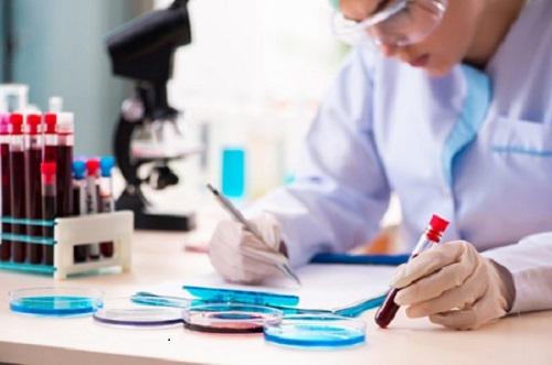 aspirante a especialista en hematología aspirante a especialista en hematología