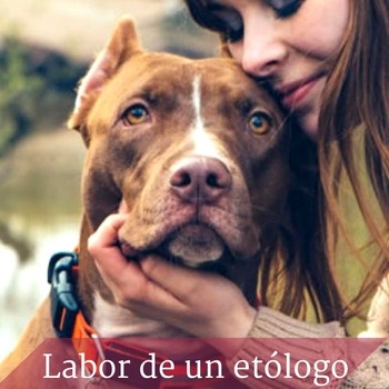 la etolog�a como profesi�n