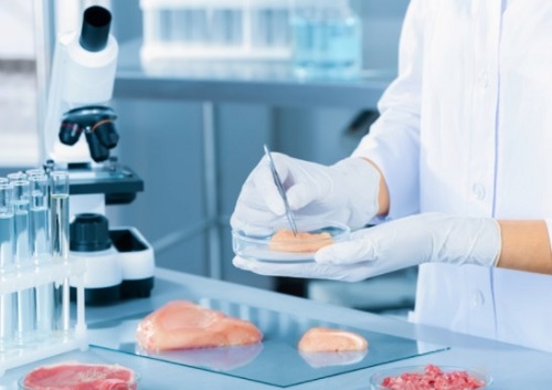centro de investigaci�n de alimentos