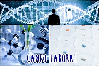 campo laboral de un ingeniero bioqu�mico