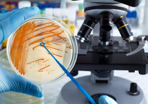 arte de la microbiolog�a