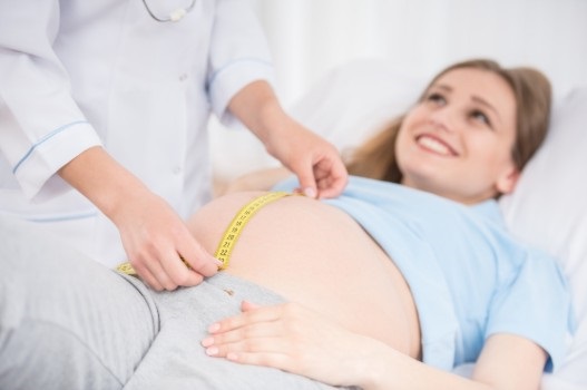obstetricia obstetricia