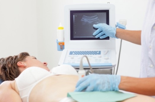 objetivo de la obstetriciao objetivo de la obstetriciao